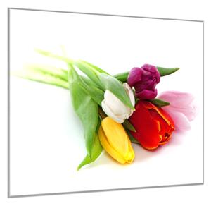 Obraz sklenený štvorcový kvety tulipánov na bielom podklade - 40 x 40 cm