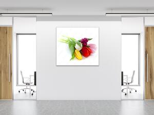 Obraz sklenený štvorcový kvety tulipánov na bielom podklade - 40 x 40 cm