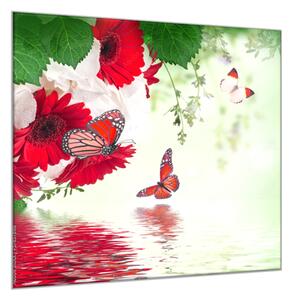 Obraz sklenený štvorcový červené gerbery a motýľ nad hladinou - 40 x 40 cm