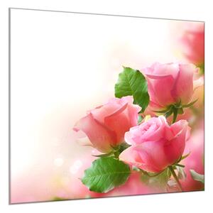 Obraz sklenený štvorcový kvety ružovej ruže v tieni - 34 x 34 cm