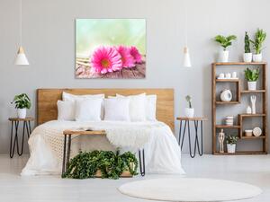 Obraz sklenený štvorcový kvety ružové gerbery na dreve - 40 x 40 cm