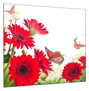 Obraz sklenený štvorcový červené gerbery a motýľ - 50 x 50 cm