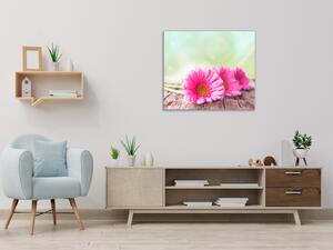 Obraz sklenený štvorcový kvety ružové gerbery na dreve - 40 x 40 cm