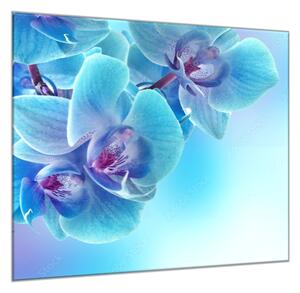 Obraz sklenený štvorcový kvet modrá orchidea a modrý tieň - 40 x 40 cm