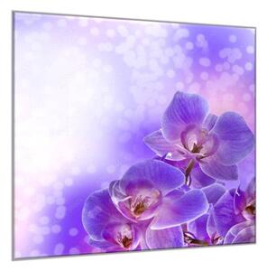 Obraz sklenený štvorcový kvet fialovej orchidey a fialový tieň - 50 x 50 cm