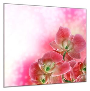 Obraz sklenený štvorcový kvet ružové orchidey a ružový tieň - 34 x 34 cm