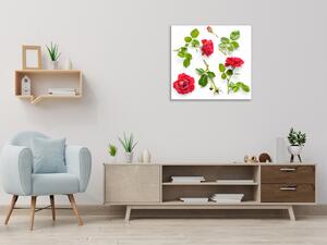 Obraz sklenený štvorcový kvety červené ruže a lístie - 40 x 40 cm