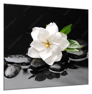 Obraz sklenený štvorcový biely kvet na čiernom pozadí - 40 x 40 cm