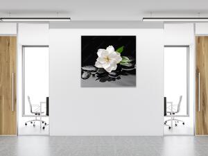 Obraz sklenený štvorcový biely kvet na čiernom pozadí - 40 x 40 cm