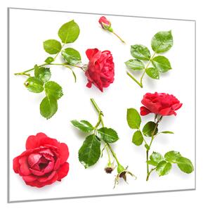 Obraz sklenený štvorcový kvety červené ruže a lístie - 40 x 40 cm