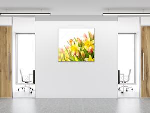 Obraz sklenený štvorcový kvety narcisov a tulipánov - 40 x 40 cm