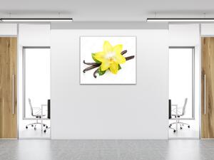Obraz sklenený štvorcový kvet žltá orchidea a vanilka - 40 x 40 cm