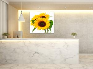Obraz sklenený štvorcový tri kvety slnečnice - 40 x 40 cm