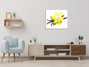 Obraz sklenený štvorcový kvet žltá orchidea a vanilka - 40 x 40 cm
