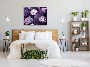 Obraz sklenený štvorcový detail kvety fialových ruží - 40 x 40 cm