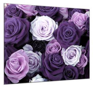 Obraz sklenený štvorcový detail kvety fialových ruží - 55 x 55 cm