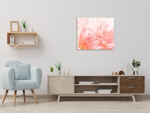 Obraz sklenený štvorcový detail kvetu ružovej gerbery - 40 x 40 cm