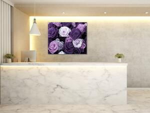 Obraz sklenený štvorcový detail kvety fialových ruží - 40 x 40 cm