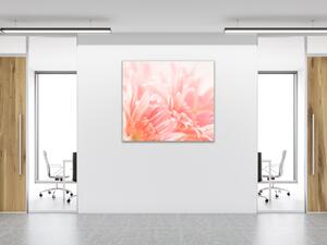 Obraz sklenený štvorcový detail kvetu ružovej gerbery - 40 x 40 cm