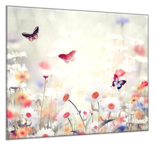 Obraz sklenený štvorcový maľované lúčne margaréty a motýle - 50 x 50 cm