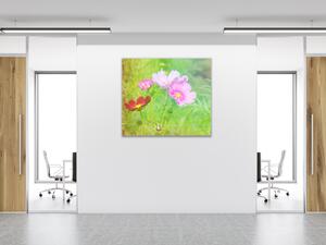 Obraz sklenený štvorcový kvety ružových margaréty na lúke - 50 x 50 cm