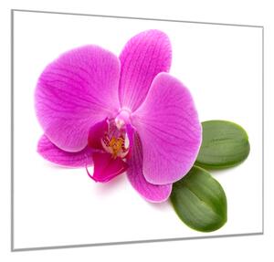 Obraz sklenený štvorcový kvet fialovej orchidey a list - 40 x 40 cm