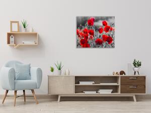 Obraz sklenený štvorcový červené kvety vlčieho maku na šedom - 40 x 40 cm