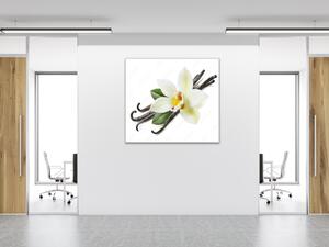 Obraz sklenený štvorcový kvet bielej orchidey a struky vanilky - 34 x 34 cm