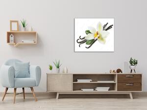 Obraz sklenený štvorcový kvet bielej orchidey a struky vanilky - 40 x 40 cm