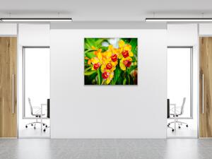 Obraz sklenený štvorcový žltý kvet orchidey v záhrade - 40 x 40 cm