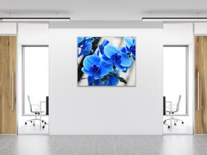 Obraz sklenený štvorcový kvety modrej orchidey - 50 x 50 cm