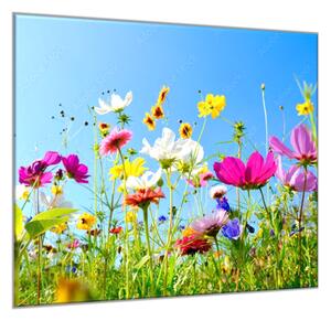 Obraz sklenený štvorcový kvety farebná rozkvitnutá lúka - 55 x 55 cm