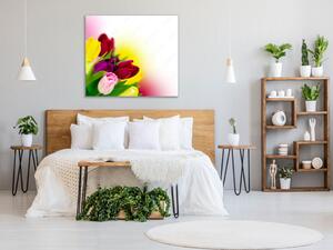 Obraz sklenený štvorcový kvety farebné tulipány v melíre - 40 x 40 cm