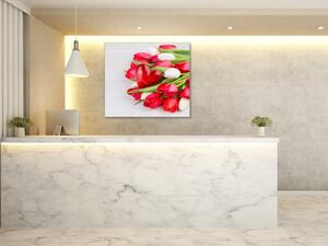 Obraz sklenený štvorcový červené, biele tulipány a srdce - 50 x 50 cm