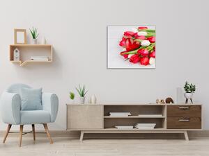Obraz sklenený štvorcový červené, biele tulipány a srdce - 40 x 40 cm