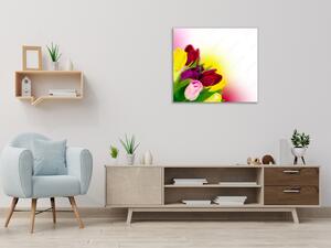 Obraz sklenený štvorcový kvety farebné tulipány v melíre - 40 x 40 cm
