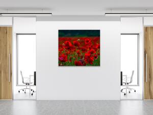 Obraz sklenený štvorcový pole červených vlčích makov - 40 x 40 cm