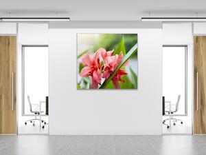 Obraz sklenený štvorcový kvety červené kanny - 40 x 40 cm