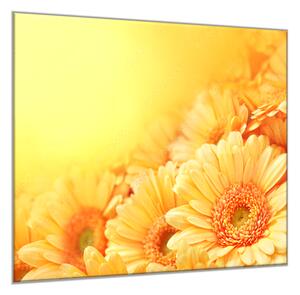 Obraz sklenený štvorcový kvety žlté gerbery na žltom pozadí - 40 x 40 cm