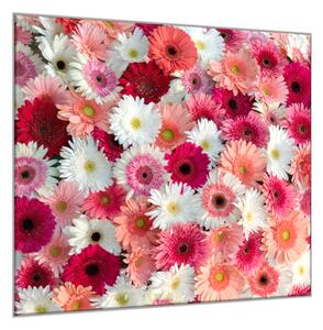 Obraz sklenený štvorcový detail ružovej a bielej kvety gerbery - 34 x 34 cm