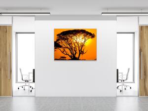 Obraz sklenený západ slnka Afrika Keňa - 40 x 40 cm