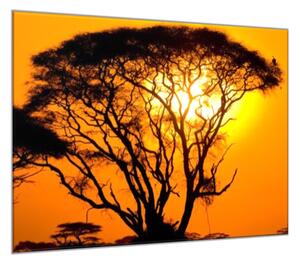 Obraz sklenený západ slnka Afrika Keňa - 34 x 34 cm