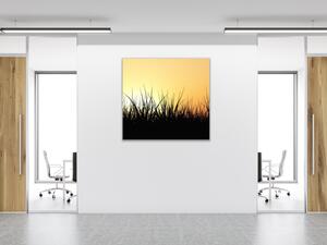 Obraz sklenený tráva v západu slnka - 40 x 40 cm