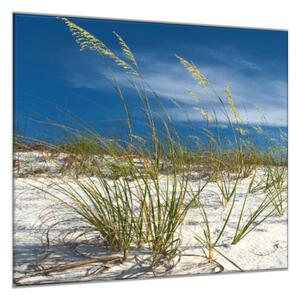 Obraz sklenený nebo a piesočná duna s trávou - 34 x 34 cm