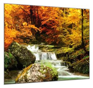 Obraz sklenený rieka a jesenný les - 50 x 50 cm