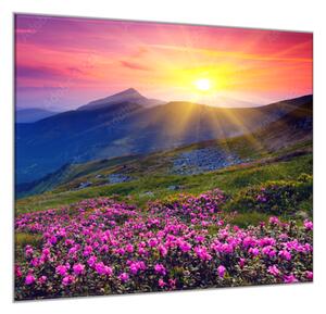 Obraz sklenený horská lúka so západom slnka - 50 x 50 cm