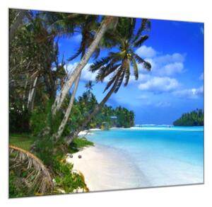 Obraz sklenený more, palmy, pláž - 40 x 40 cm
