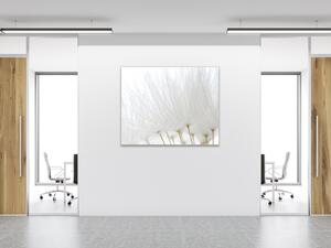 Obraz sklenený štvorcový odkvitnutá biela púpava - 40 x 40 cm