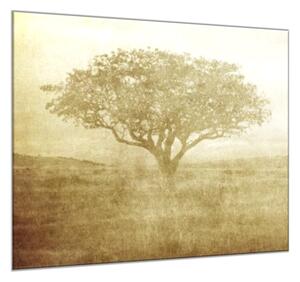 Obraz sklenený štvorcový maľba stromu na plátne - 40 x 40 cm