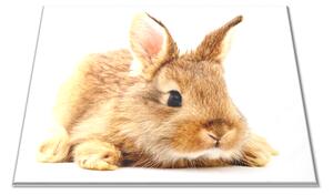 Sklenená doštička hnedý králik - 30x20cm